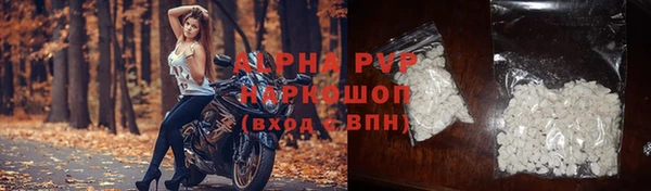 эйфоретик Пересвет