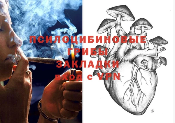 эйфоретик Пересвет