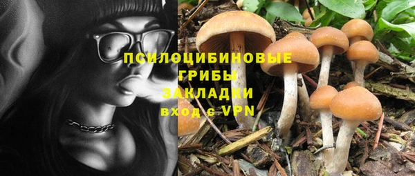 твердый Переславль-Залесский