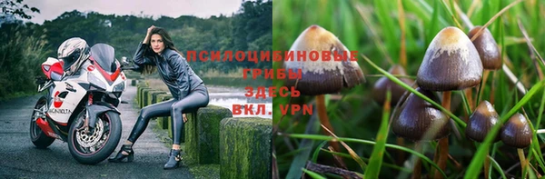 эйфоретик Пересвет