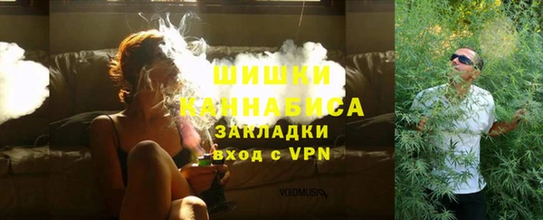 эйфоретик Пересвет