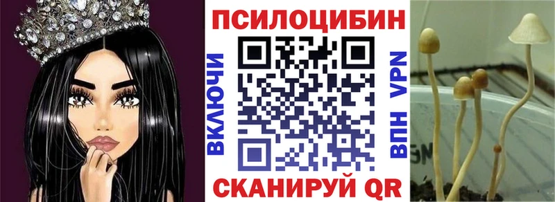 где можно купить наркотик  Сим  Галлюциногенные грибы Cubensis 